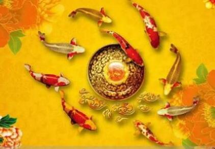 風水魚如何選擇擺件？