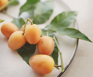 黃皮果有哪些功效？