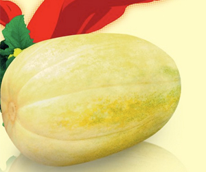 吃甜瓜的百種不同的方法及它的營(yíng)養(yǎng)價(jià)值