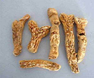 知母貴嗎？它是怎樣加工的呢？