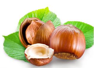 榛子和栗子是一樣的嗎？