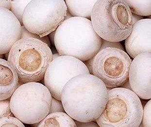 口蘑、香菇、草菇一樣嗎？它們有什么區(qū)別呢？